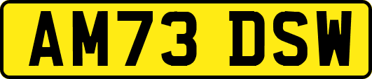 AM73DSW