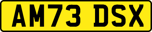 AM73DSX