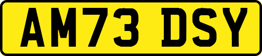 AM73DSY