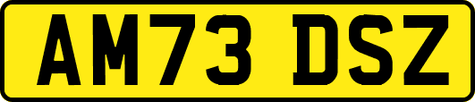 AM73DSZ