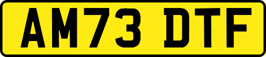 AM73DTF