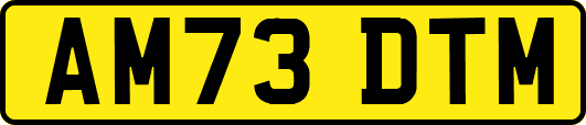 AM73DTM