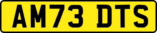 AM73DTS