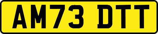 AM73DTT