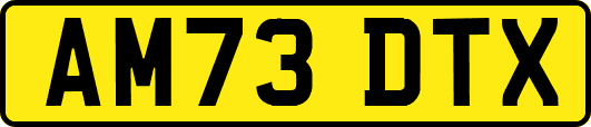 AM73DTX