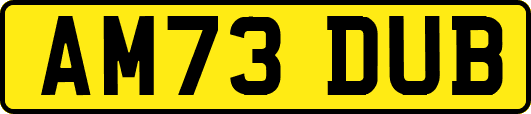 AM73DUB