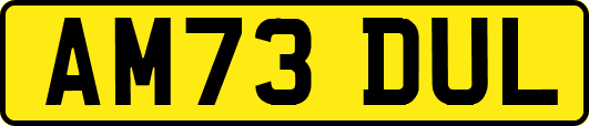 AM73DUL