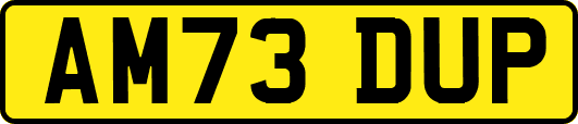 AM73DUP