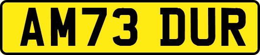 AM73DUR