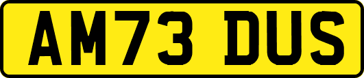 AM73DUS