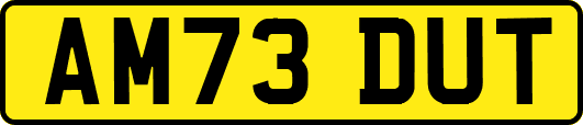 AM73DUT