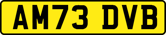 AM73DVB