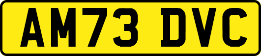 AM73DVC