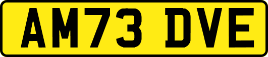 AM73DVE