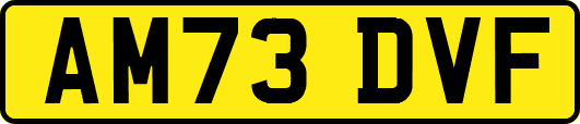 AM73DVF