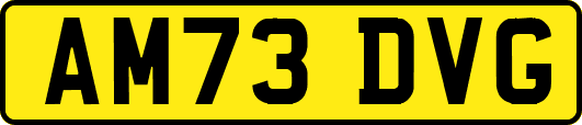 AM73DVG