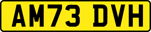 AM73DVH