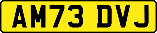 AM73DVJ