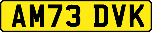 AM73DVK