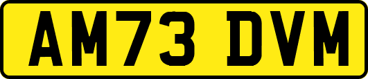 AM73DVM