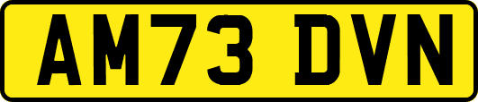 AM73DVN