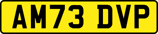 AM73DVP