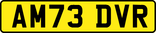 AM73DVR
