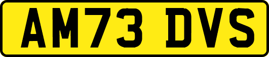 AM73DVS