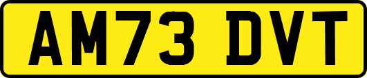AM73DVT