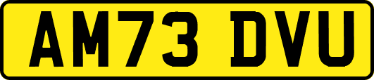 AM73DVU