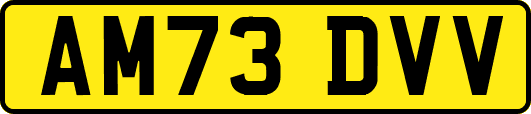 AM73DVV