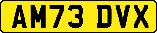 AM73DVX