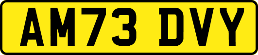 AM73DVY