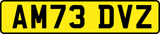 AM73DVZ