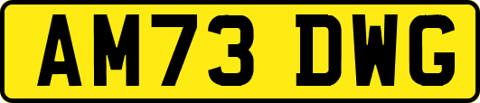 AM73DWG