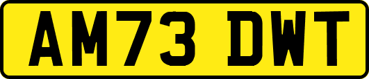 AM73DWT