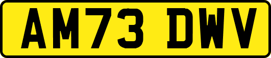 AM73DWV