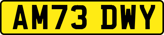 AM73DWY