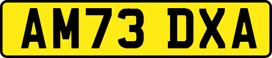 AM73DXA