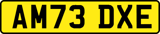 AM73DXE