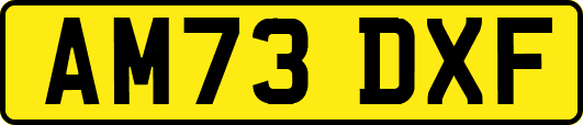 AM73DXF