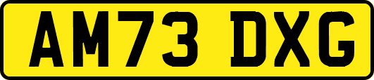 AM73DXG