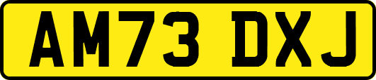AM73DXJ
