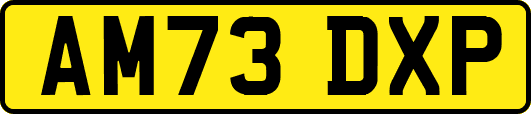 AM73DXP