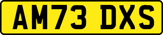 AM73DXS