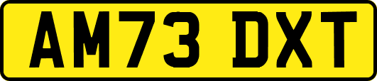 AM73DXT