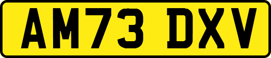 AM73DXV