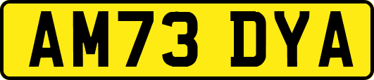 AM73DYA