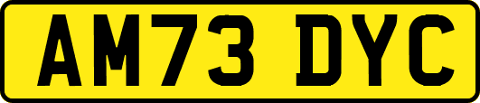 AM73DYC