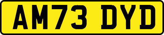 AM73DYD